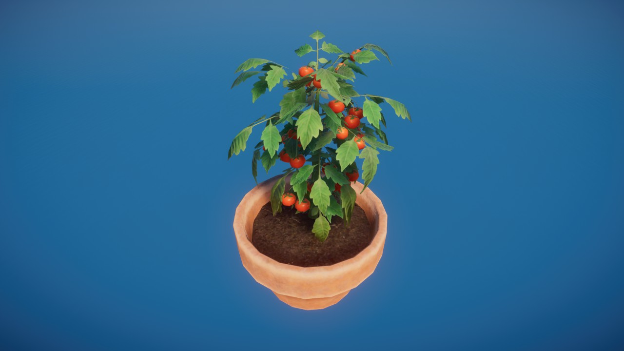 Prop - Potted Tomato Plant 02