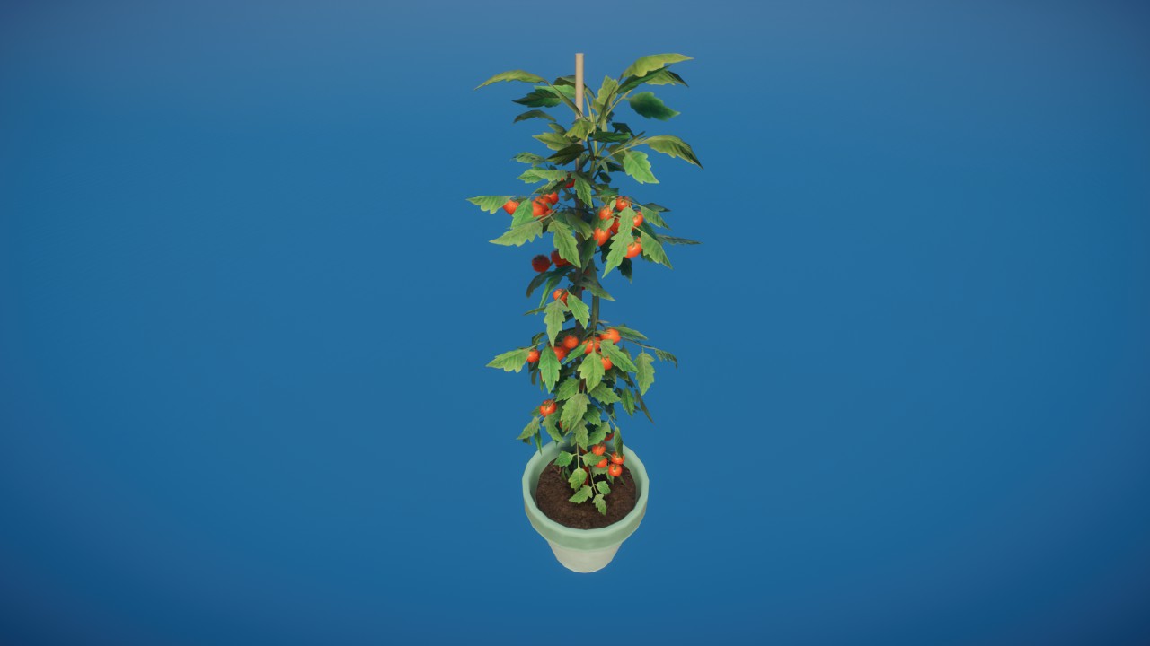Prop - Potted Tomato Plant 03