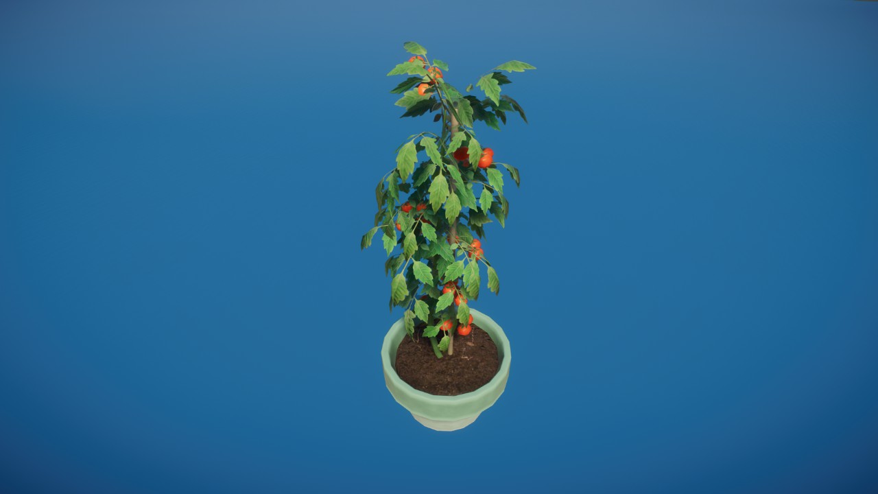 Prop - Potted Tomato Plant 04