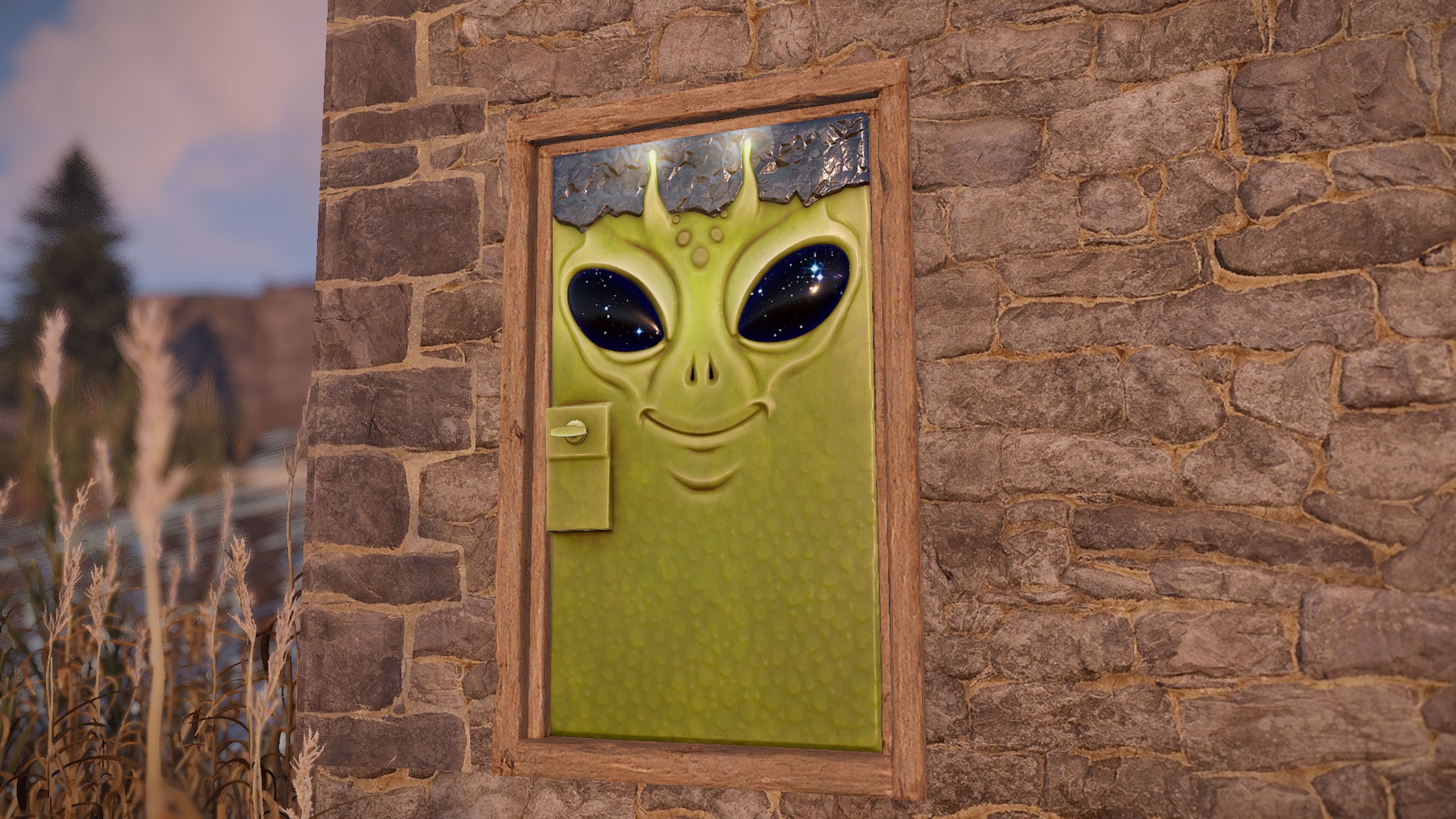 UAP Pilot Door