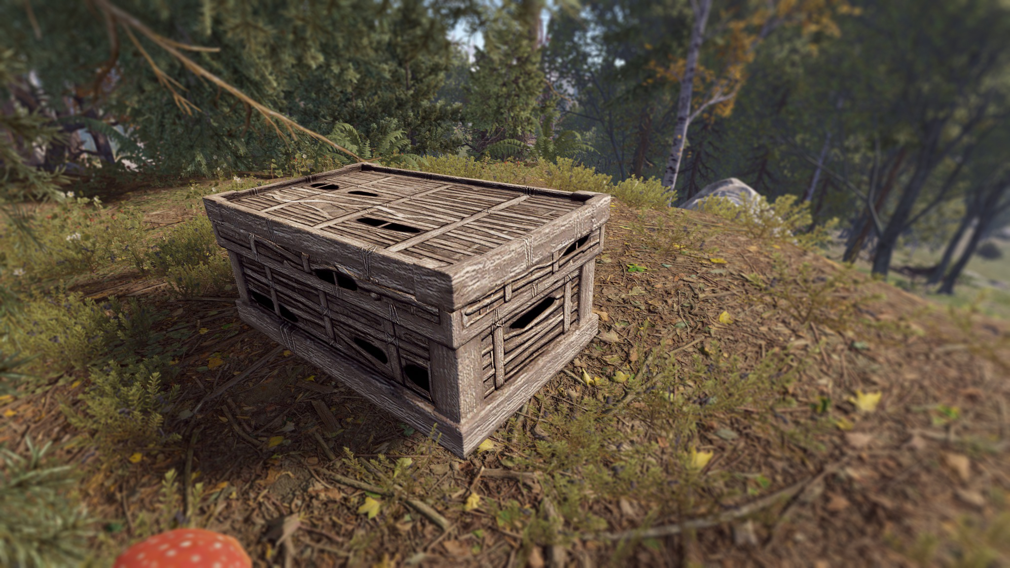 Twig Large Box