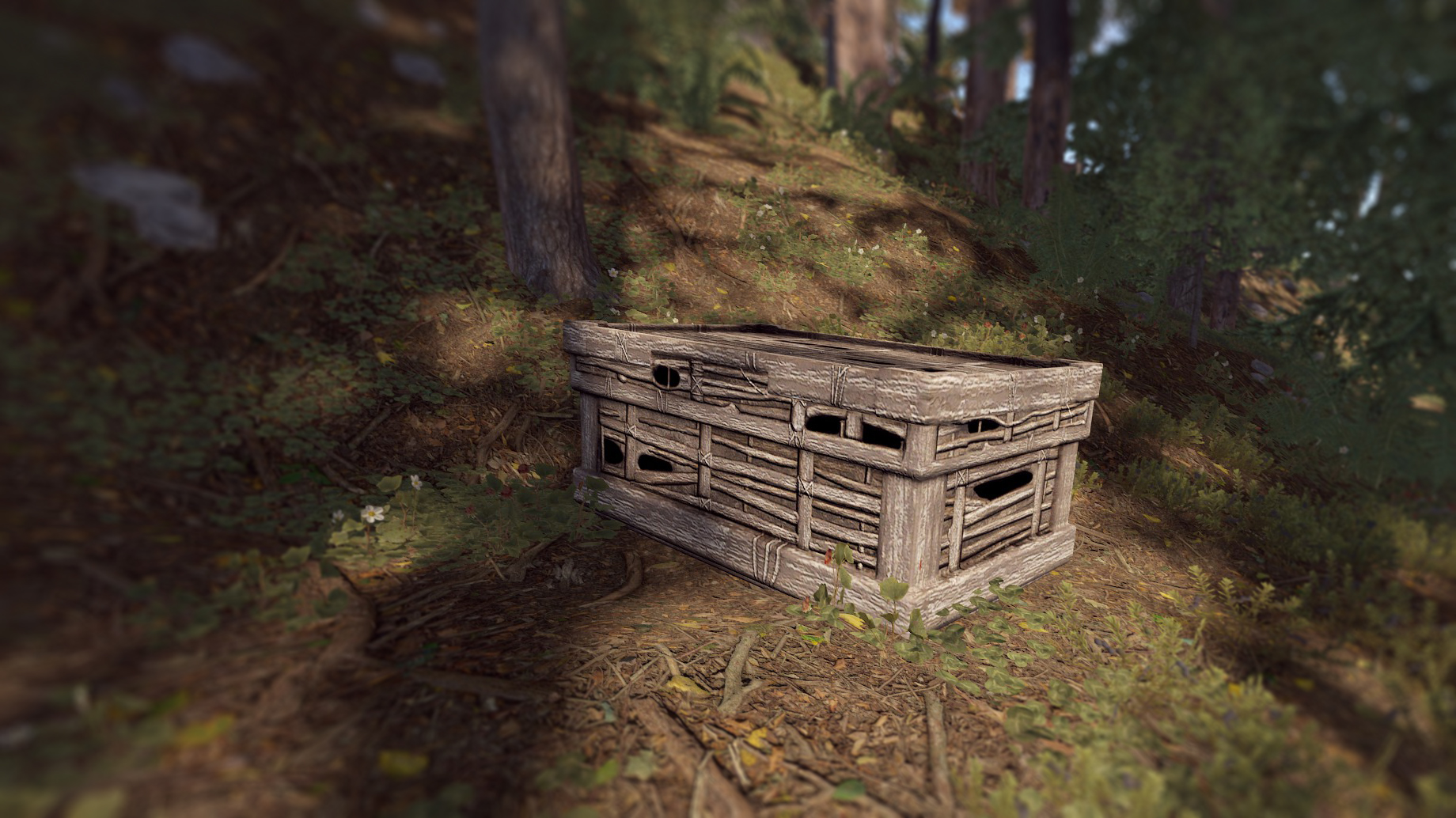 Twig Large Box