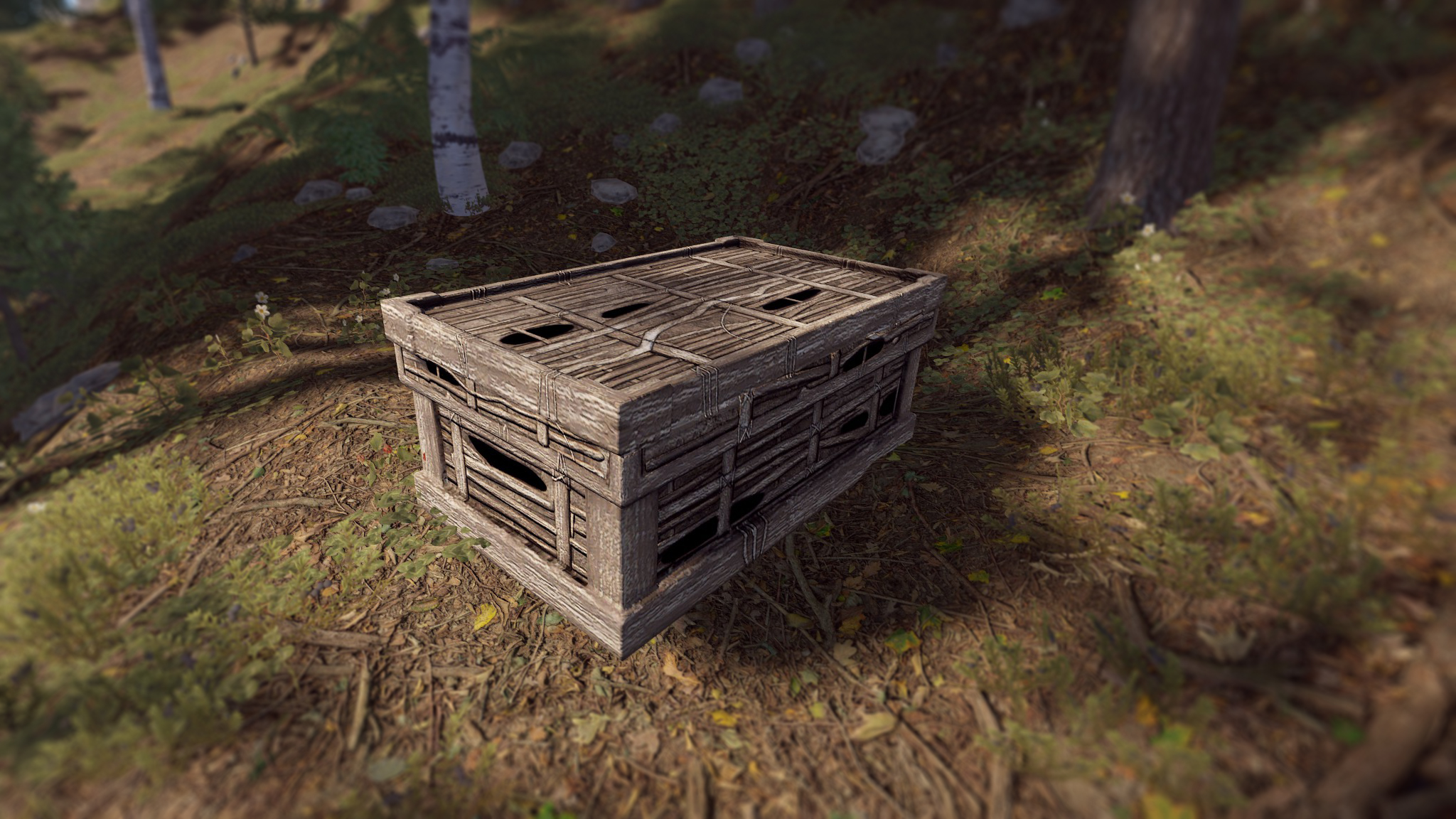 Twig Large Box