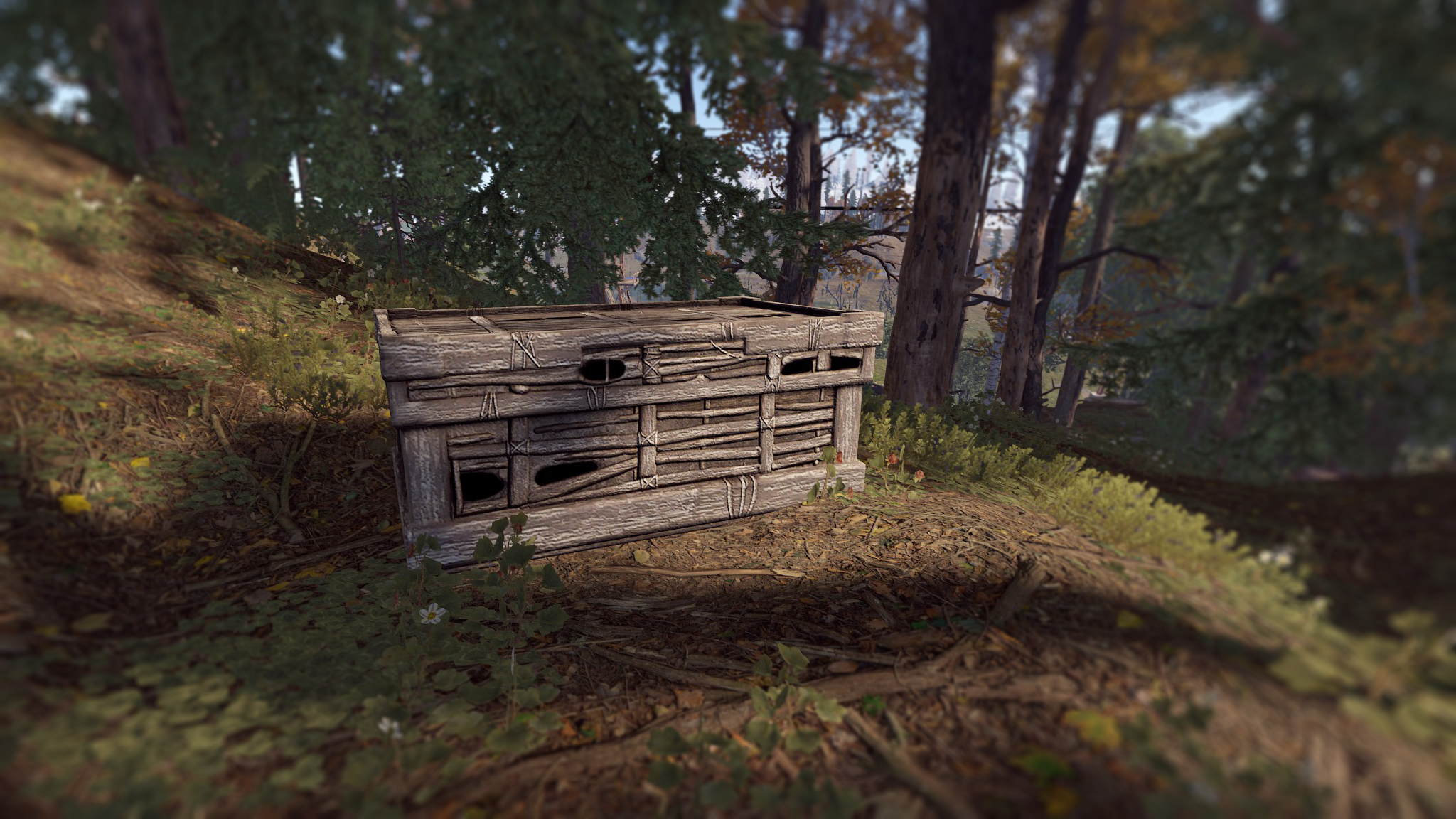 Twig Large Box