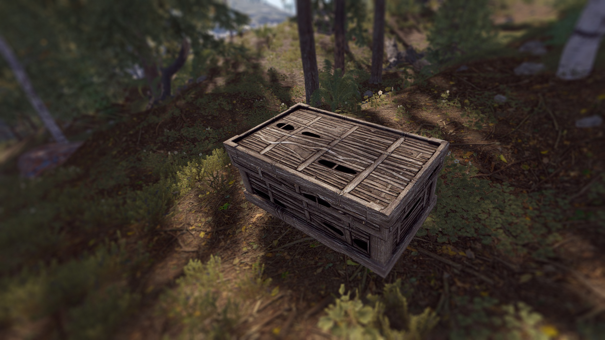 Twig Large Box