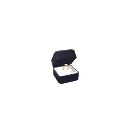 Ring Box (Smaller)- Black