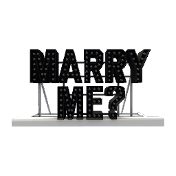 Marry Me Sign- Black preview