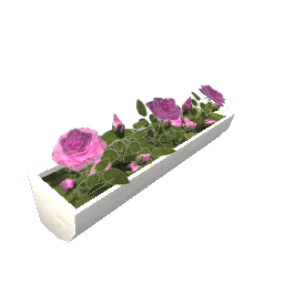 WfS Flower Wall Box 03
