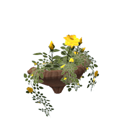 WfS Roses Wall Amphore 02