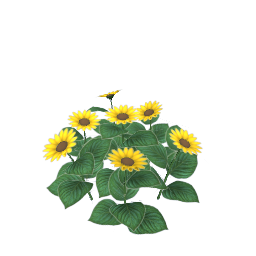 WfS Garden Flowers 04