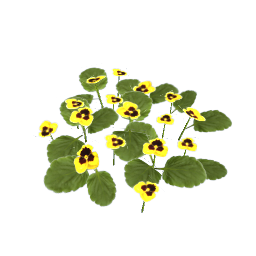 WfS Garden Flowers 19