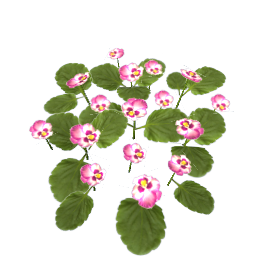 WfS Garden Flowers 22