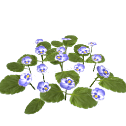 WfS Garden Flowers 23