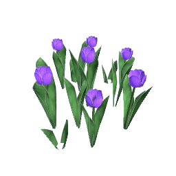 WfS Garden Flowers 27