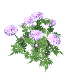 WfS Garden Flowers 30
