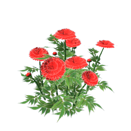 WfS Garden Flowers 35