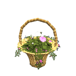 WfS Garden Basket Roses 1
