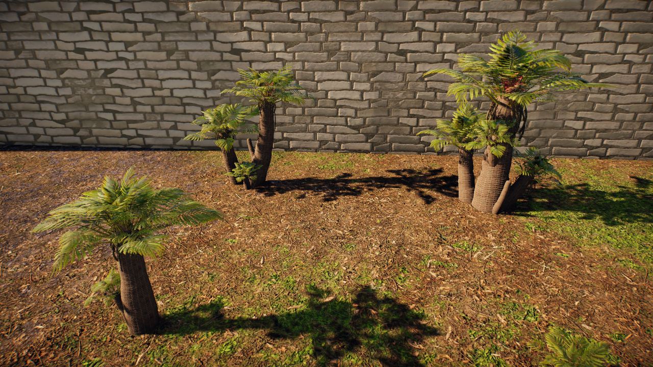 Some Cycad-looking Thing