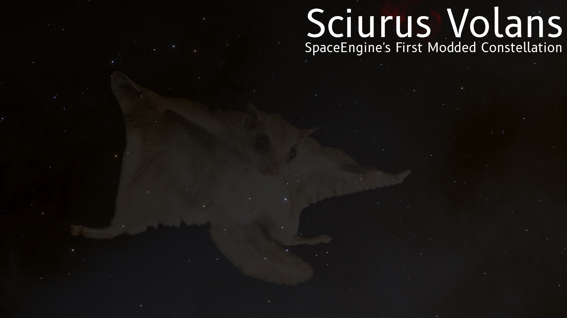 Sciurus Volans