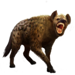 Anthro Survivors - Keita – Project Zomboid Mod