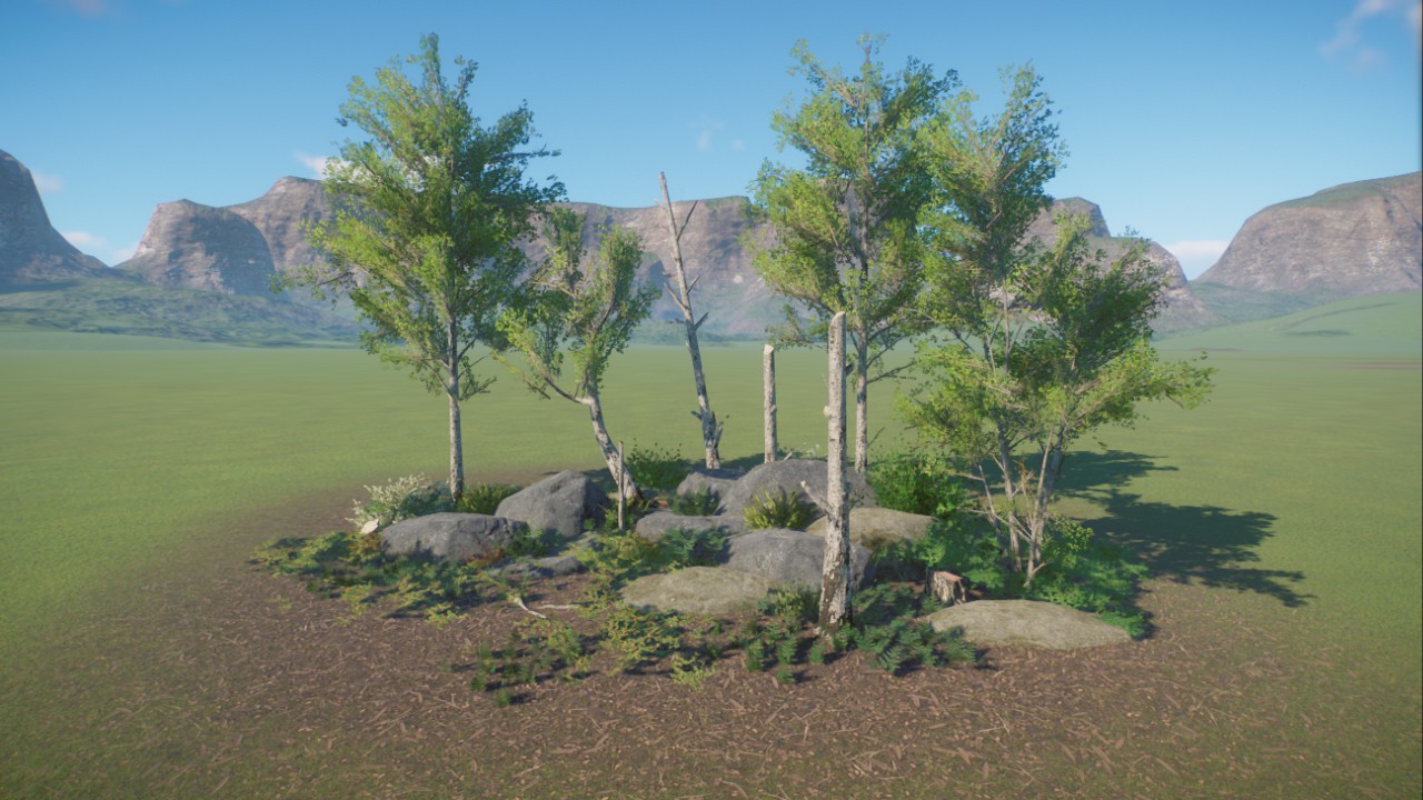 Birch Forest Ground Cover
