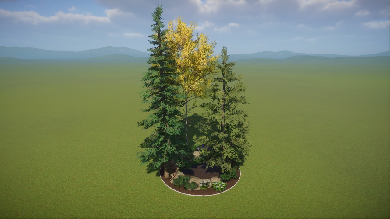 Base - Americas Boreal Taiga Forest Pond Garden