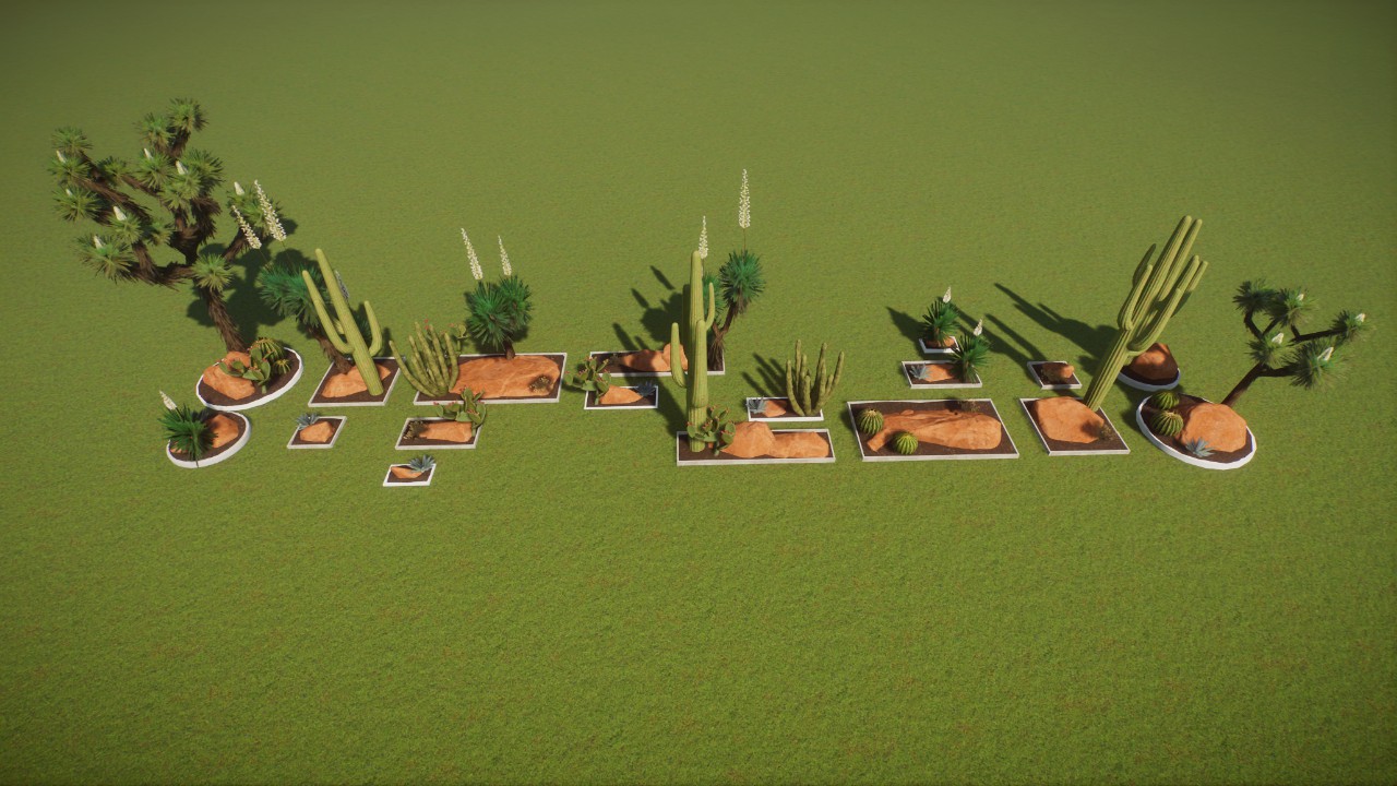 Base - Americas Cactus Desert Small Gardens