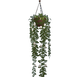 WfS InGarden CeilingPlant09 156cm