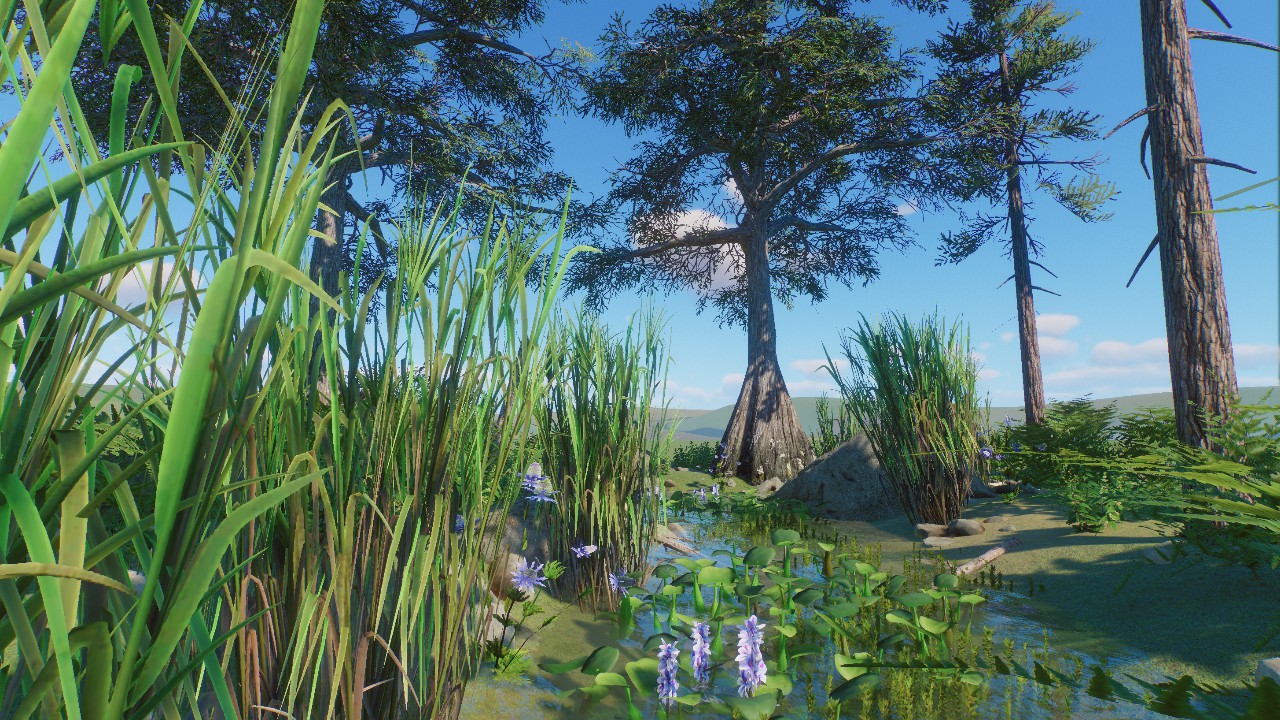 Nature Scenery 10