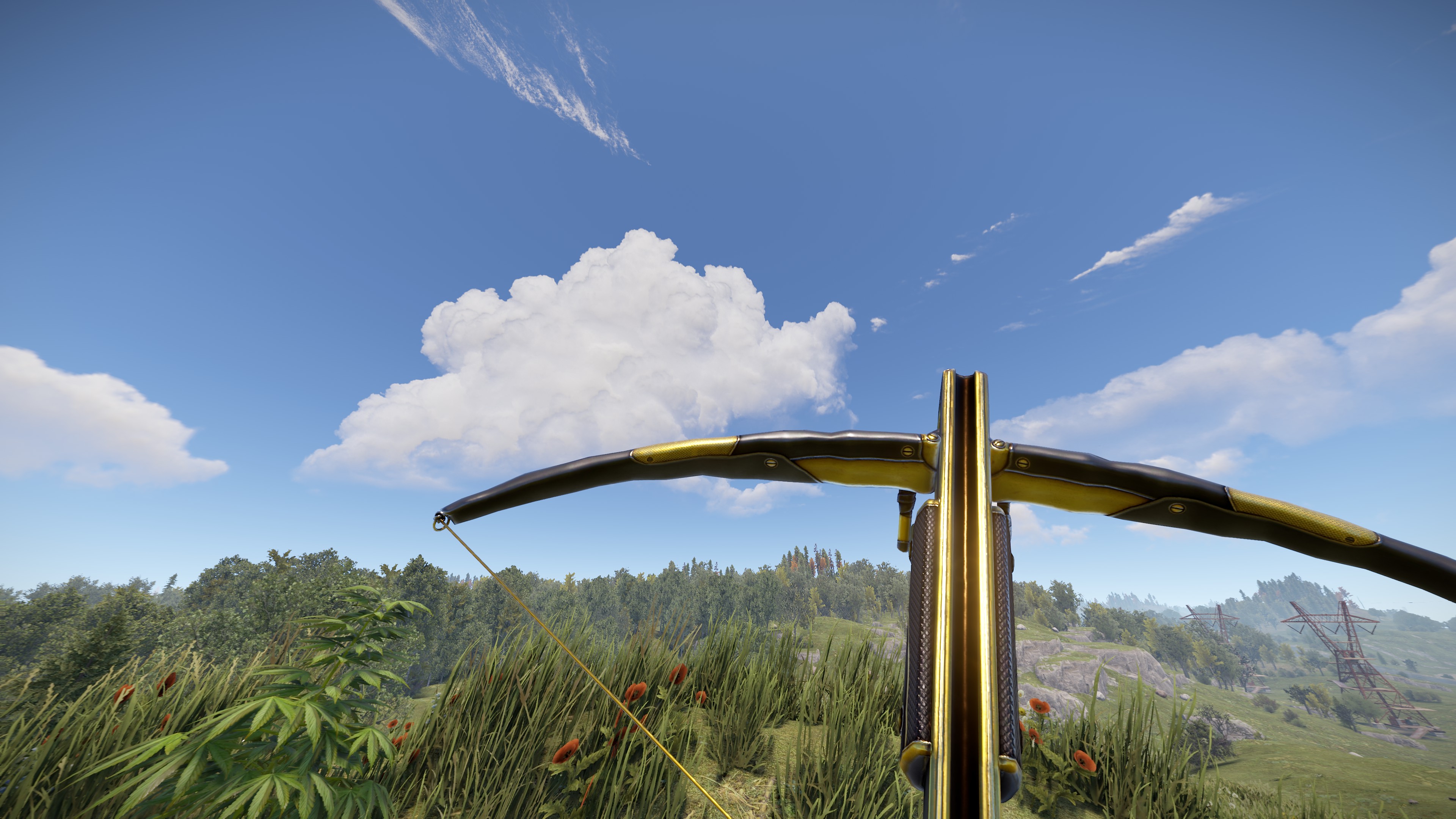 Black Gold Crossbow