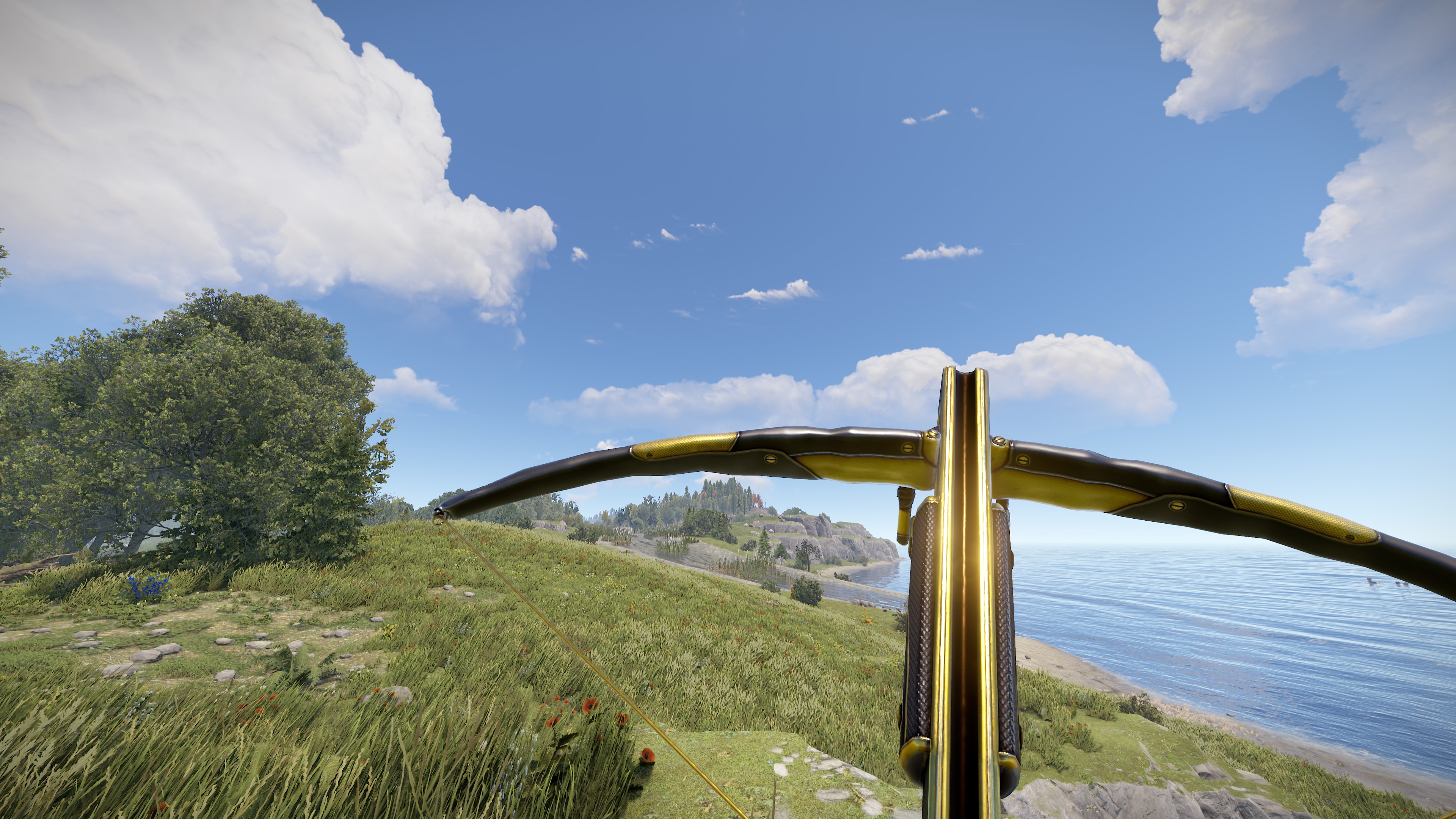 Black Gold Crossbow