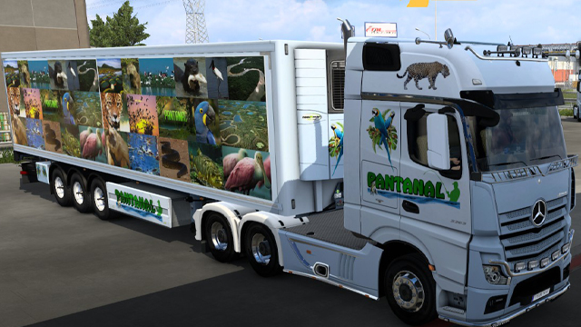 Skin Pantanal