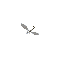 flying key