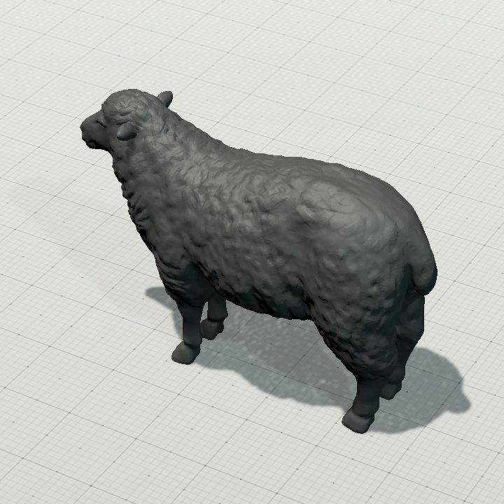 Sheep