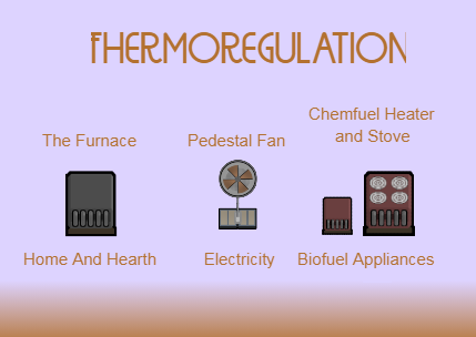 [WYD] Thermoregulation