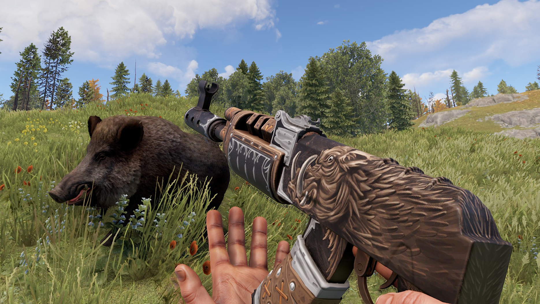 Wild Boar AR