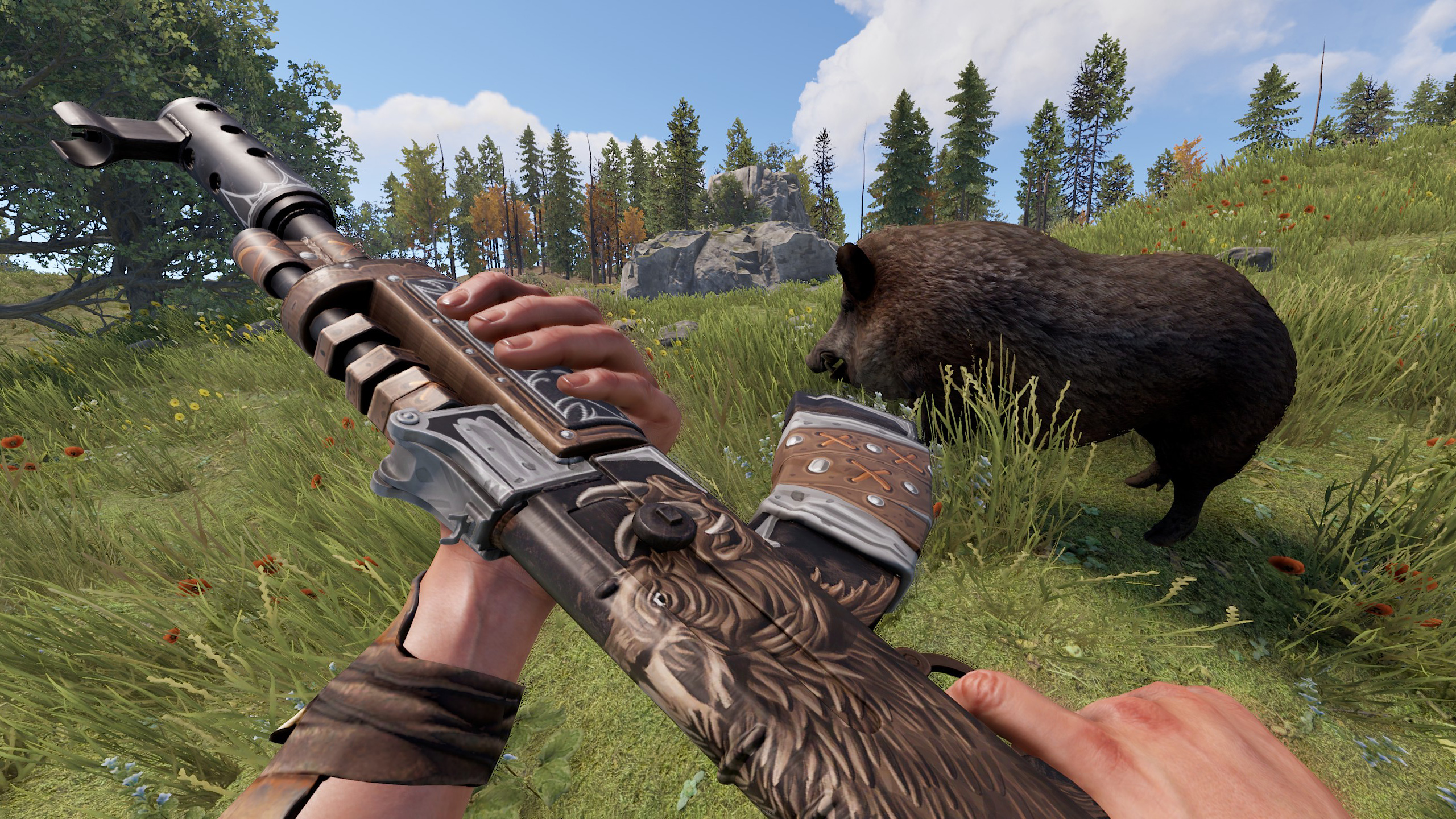 Wild Boar AR