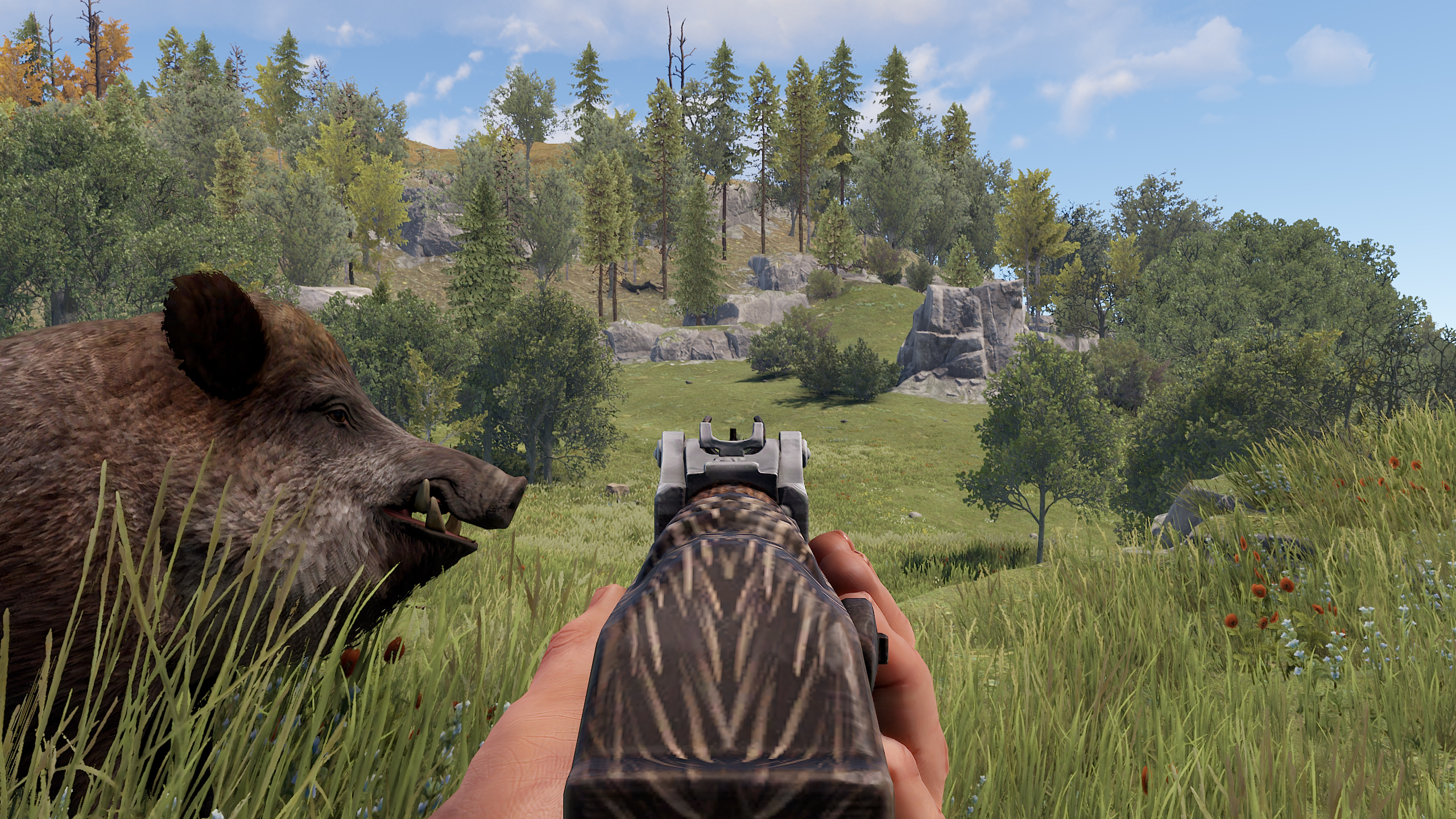 Wild Boar AR