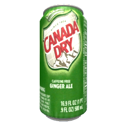 Canada Dry Ginger Ale