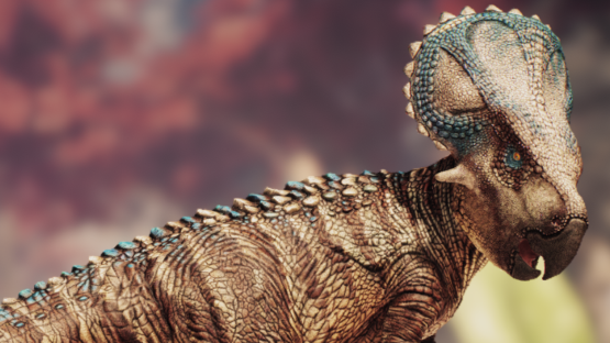 Arse the Microceratus