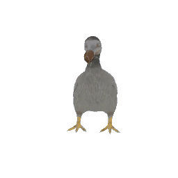 Dodo