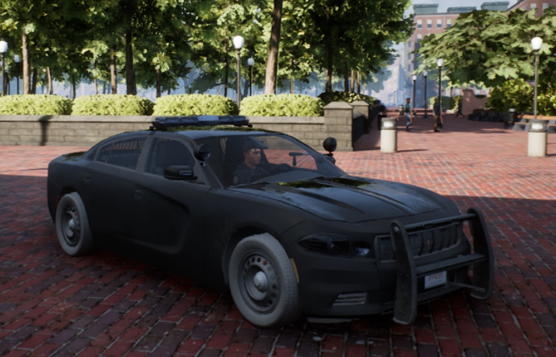 Unmarked Black Panther