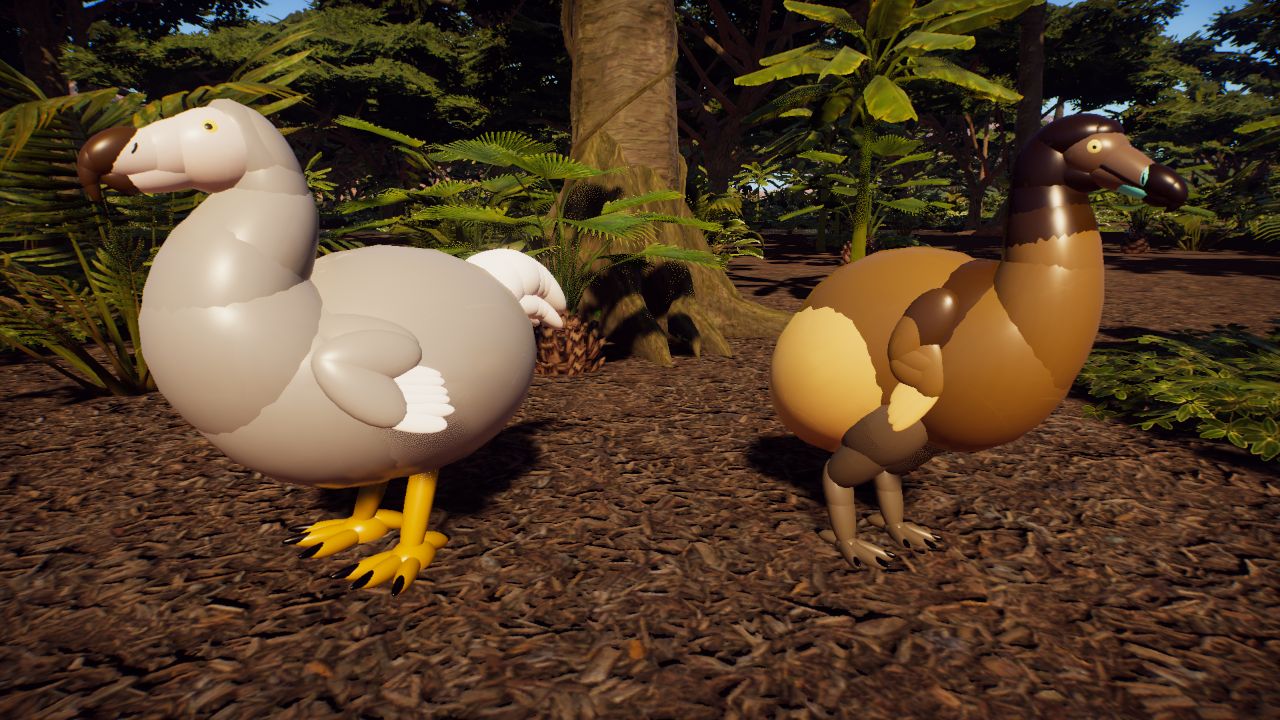 Dodo (Raphus cucullatus)