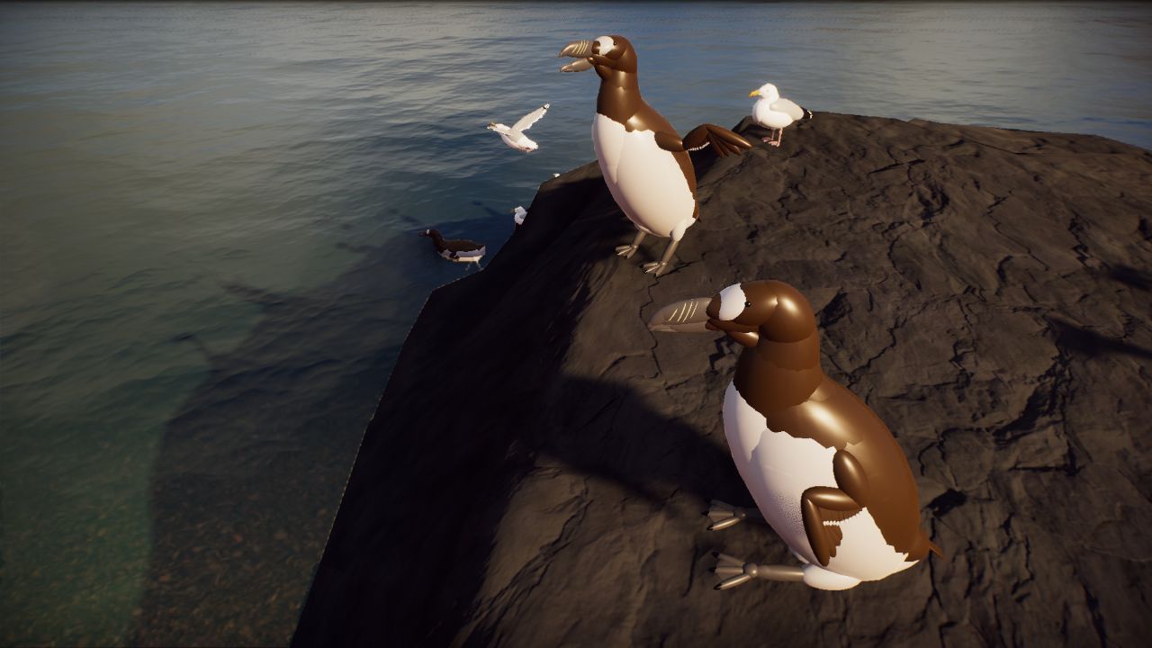 Great Auk (Pinguinus impennis)
