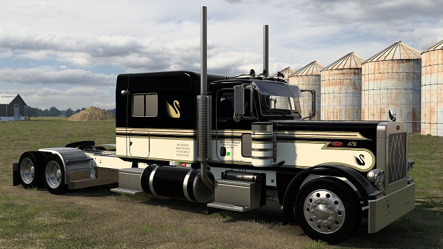 Black Swan skin for the Pizzster 389 EXHD 48 Inch and Up