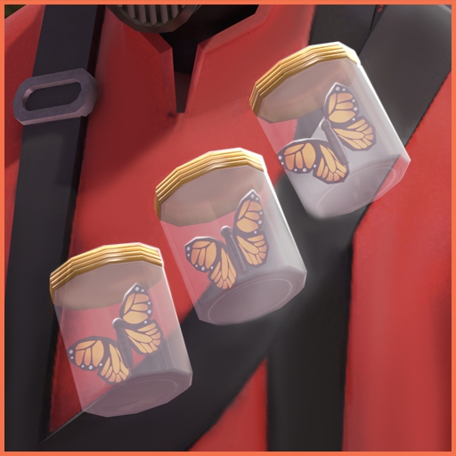 Butterfly Buddies