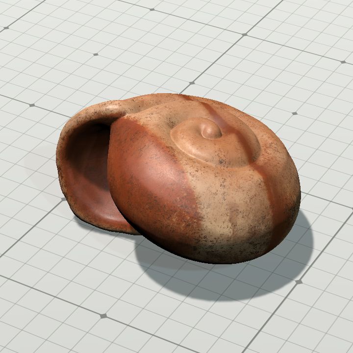 Sandstone Snail Shell