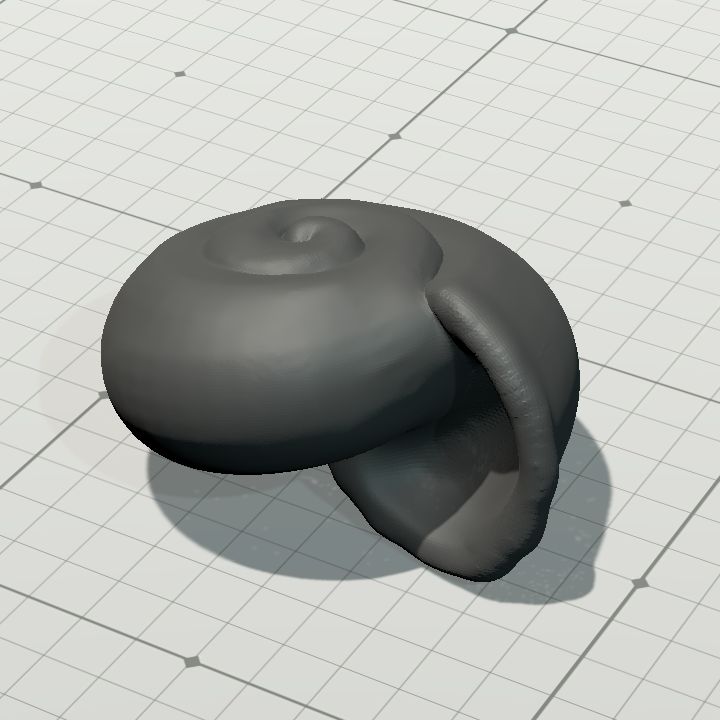 Snail shell