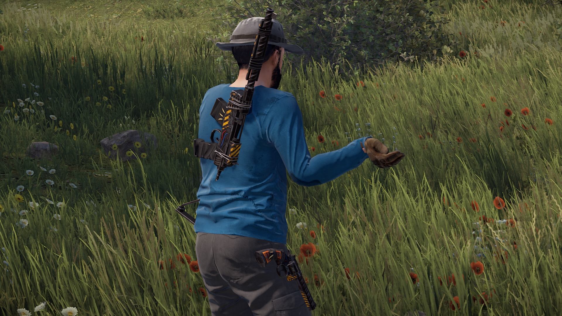 Wasteland SAR