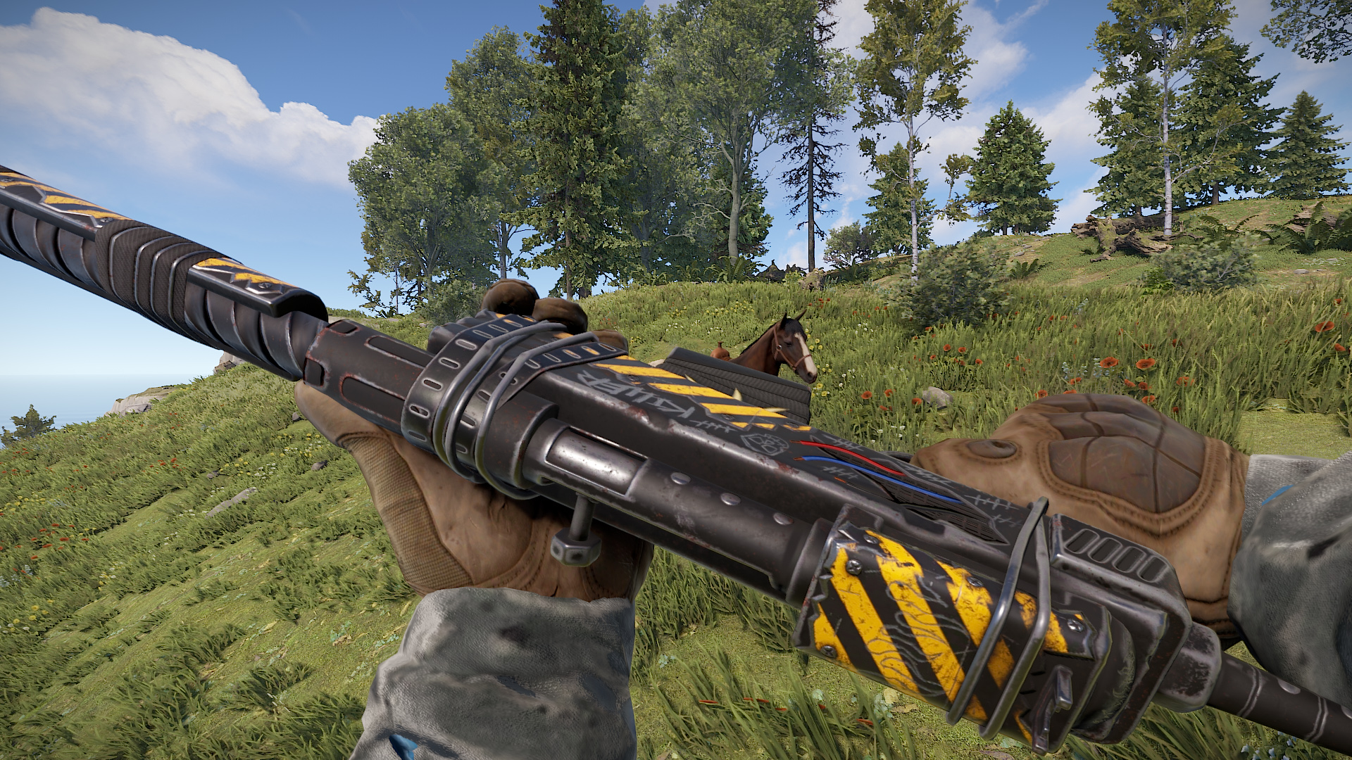Wasteland SAR